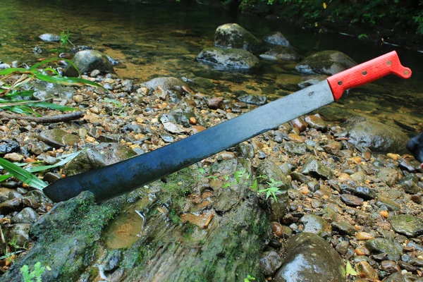 A sideview of a machete that has been put in a tree of tropical wood — Stock Photo, Image