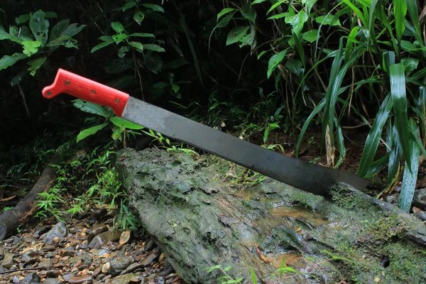 A machete stuck in a tree — Stock Photo, Image