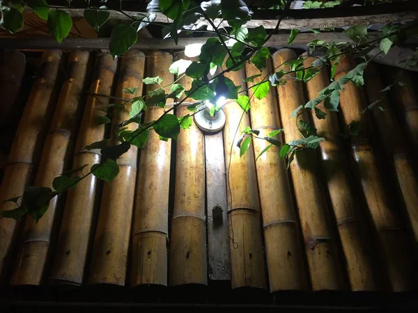 Yeşil tırmanış tesisi tarafından gizli bir ışık ile bir Bambu duvar