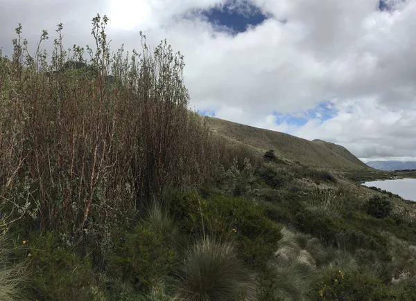 Sierra de Ecuador, eine trockene Landschaft mit kleinen Pflanzen neben einem See — Stockfoto