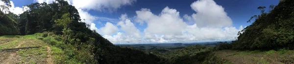 Een panorama van de Amazone, gezien vanaf een veel gelopen pad aan de rand van een klif — Stockfoto