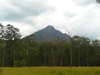 Barney Dağı, Avustralya'nın en yüksek dağlarından biri.