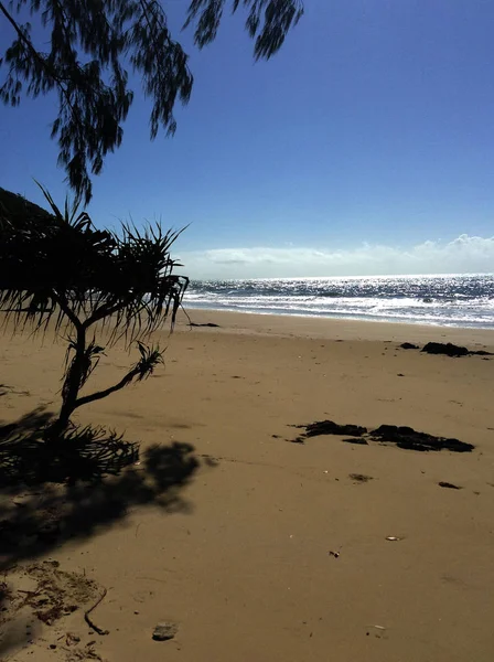 Vista idílica de um céu, uma praia tropical com muito sol, uma palmeira e água vítrea — Fotografia de Stock