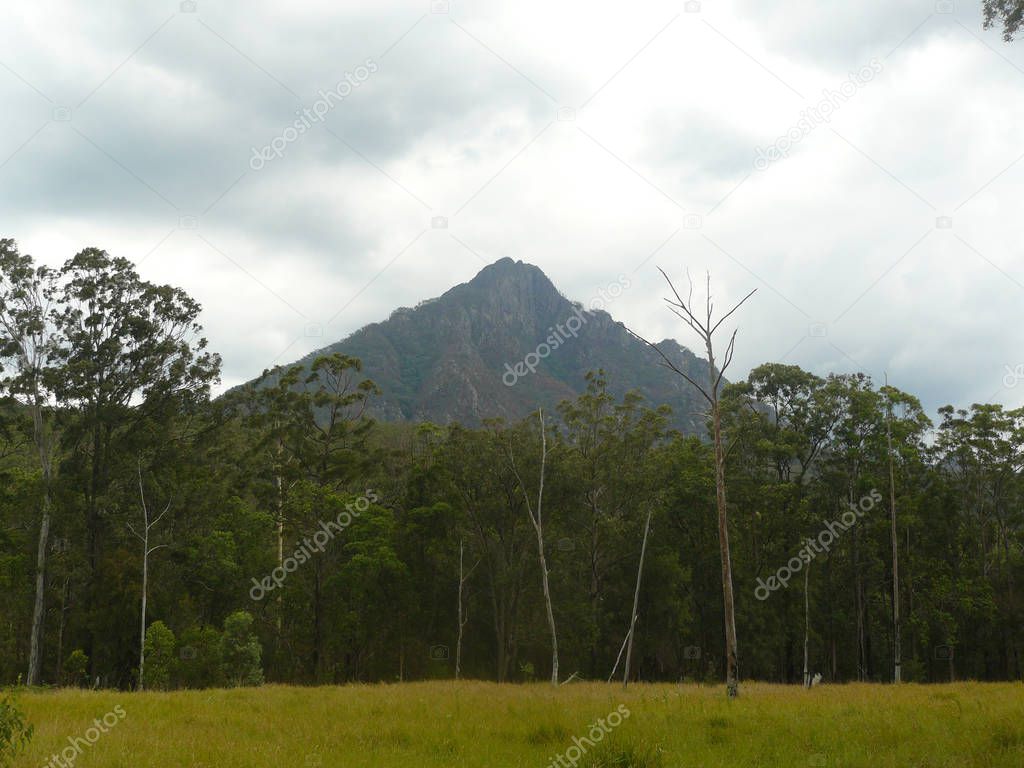 Mount barney, one of the highest mountains in Australia as seen from the very bottom