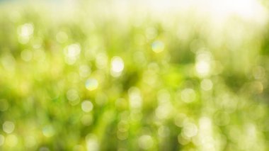 Soyut su yeşil ışık arka plan bulanıklık