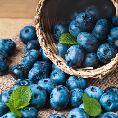 Sepet içinde yeşil nane yaprakları ile taze çekilmiş yaban mersini 