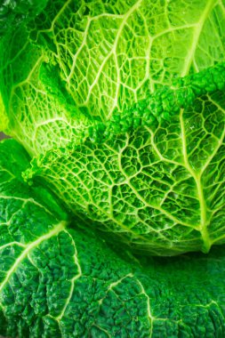 Damla su ile ham savoy lahana görünümü Kapat