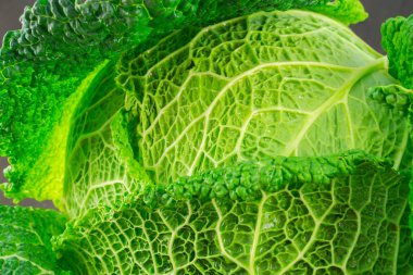 Damla su ile ham savoy lahana görünümü Kapat