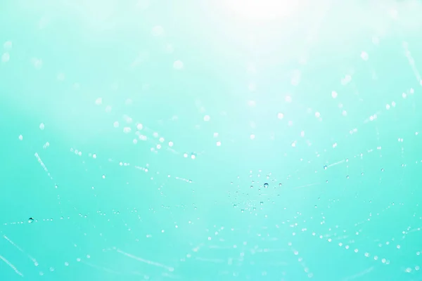 Schließen Des Spinnennetzes Mit Tautropfen Auf Blauem Hintergrund — Stockfoto