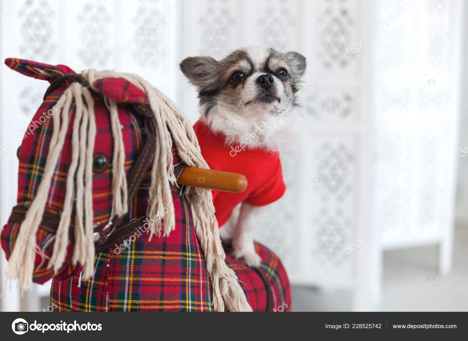 puppy rocking horse