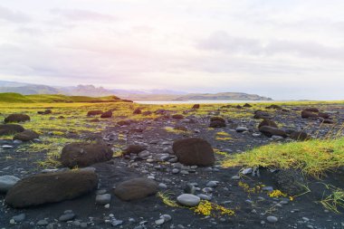 Reynisfjara siyah plaj yakınında yeşil çim, taş ve kum ile İzlanda manzara. Vik, Reynisdrangar, Güney İzlanda. Atlantik Okyanusu'nun kıyısı. Güneş parlak degrade etkisi, kopya alanı arka plan.