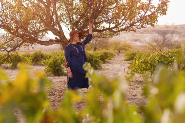 Güzel sarı saçlı genç kadın elma ağacı yakınında mavi etek ve kahverengi şapka giyiyor. Yerel tarım iş büyüme kavramı. Yavaş yaşam otantik yaşam tarzı.