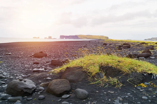 Vik yakınlarındaki Reynisfjara siyah plaj, Reynisdrangar, Güney İzlanda. Atlantik Okyanusu'nun kıyısı. Güneş parlak degrade etkisi.