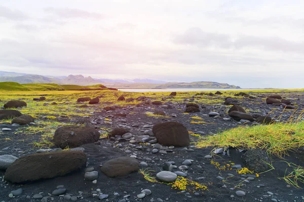 Islandská Krajina Zelenou Trávou Kameny Pískem Poblíž Černé Pláže Reynisfary — Stock fotografie