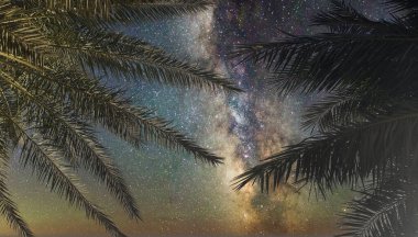 Nefes kesen bir manzara, Samanyolu galaksisinin bereketli palmiye ağaçlarının üzerinde parlak bir şekilde parlayışını yansıtır. Geceleri sakin atmosfer, tropikal arka plana karşı evrenin güzelliğini vurgular..