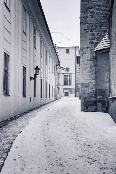 Château Prague Est Complexe Châteaux Situé Prague République Tchèque Datant — Photo