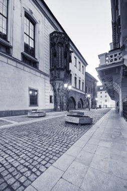 Karolinum kent Prag'ın tarihi kent içinde yer alan binalar kompleksi var. Karolinum, Charles Üniversitesi koltuğunda Orta Avrupa'da bulunan en eski öğrenci yurtları biridir. Yurt İmparator Charles IV sonra seçildi. Karol