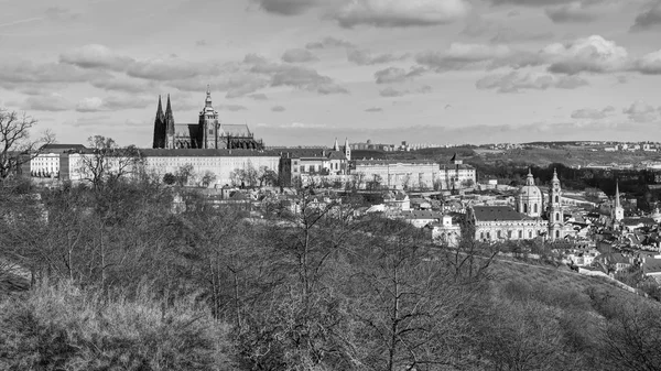 Prague Castle Mieści Się Zamku Złożonych Praga Czech Republic Pochodzący — Zdjęcie stockowe