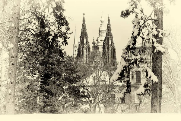 圣维图斯 文塞斯劳斯和阿德尔伯特大都会大教堂是布拉格的罗马天主教大都市大教堂 是布拉格大主教的所在地 1997年 大教堂只致力于圣维特 至今仍被命名为 — 图库照片