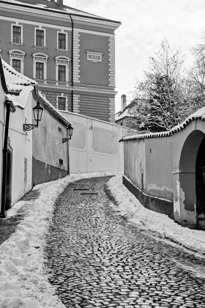 Nouveau Monde Dans Quartier Hradcany Prague Est Situé Nord Ouest — Photo