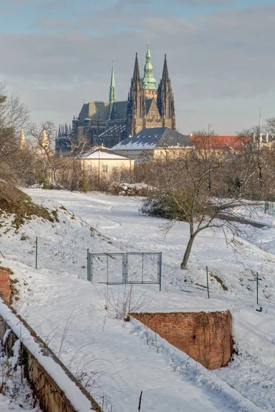 Metropolitní Katedrála Svatého Vituse Václava Adalberta Římskokatolická Metropolitní Katedrála Praze — Stock fotografie