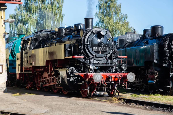 捷克最大的国际蒸汽机车节 — 图库照片