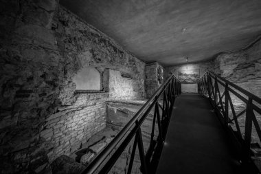 Aralık 2003'te, Matematik ve Fizik Cu Fakültesi'nin Küçük Şehir binası yeniden inşa edilirken, birinci kattaki bir odanın altındaki duvarlı alanda dolgunun kaldırılmasına yeni bir damızlık oluşturma niyetiyle başlandı.