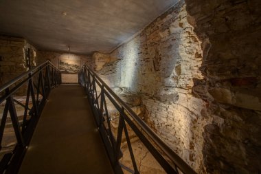 Aralık 2003'te, Matematik ve Fizik Cu Fakültesi'nin Küçük Şehir binası yeniden inşa edilirken, birinci kattaki bir odanın altındaki duvarlı alanda dolgunun kaldırılmasına yeni bir damızlık oluşturma niyetiyle başlandı.