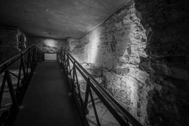 Aralık 2003'te, Matematik ve Fizik Cu Fakültesi'nin Küçük Şehir binası yeniden inşa edilirken, birinci kattaki bir odanın altındaki duvarlı alanda dolgunun kaldırılmasına yeni bir damızlık oluşturma niyetiyle başlandı.