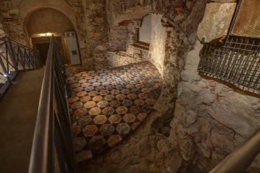 Aralık 2003'te, Matematik ve Fizik Cu Fakültesi'nin Küçük Şehir binası yeniden inşa edilirken, birinci kattaki bir odanın altındaki duvarlı alanda dolgunun kaldırılmasına yeni bir damızlık oluşturma niyetiyle başlandı.