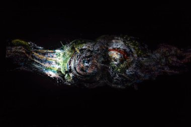 Rozsvit Uhrineve Işıklandırma Sergisi