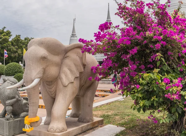 Socha Slona Thajsku Chrám Pozadí — Stock fotografie