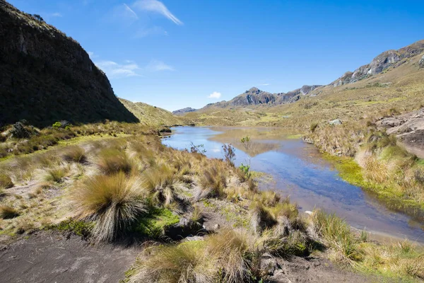 Cuencas Lacustre Parque Cajas Cuenca Ecuador — Foto de Stock