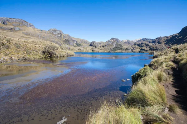 Reflejos Colores Lago Parque Cajas Cuenca Ecuador — Foto de Stock