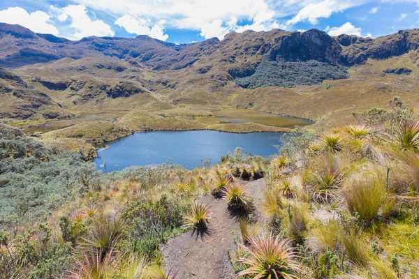 Lagos Montañas Parque Cajas Cuenca Ecuador — Foto de Stock