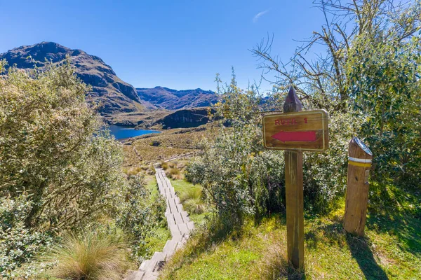 Vista Panorámica Del Sendero Principal Parque Cajas Cuenca Ecuador — Foto de Stock