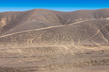 Nazca Peru Ağustos 2018 yer alan kurak Perulu kıyı Ovası'nın güneyinde Peru bu satırları 500 milattan önce ve milattan sonra 500 arasında zemin yüzeyinde çizik içinde. Canlılar, stilize bitki ve hayali yaratık geoglyphs tasvir