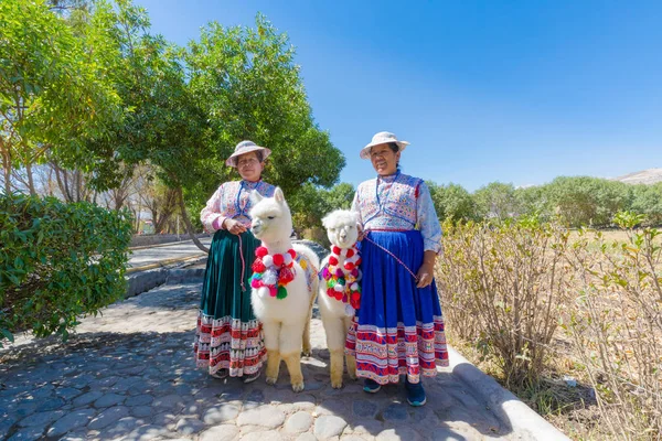 Περού Σεπτεμβρίου 2018 Inca Απόγονοι Παραδοσιακά Ρούχα Συνοδεύεται Από Μικρό — Φωτογραφία Αρχείου