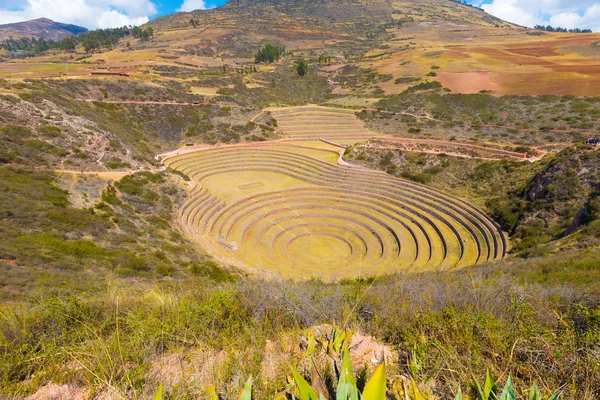 Cuzco Peru Eylül 2018 Sıradışı Dairesel Teraslar Bitkileri Için Deneysel — Stok fotoğraf