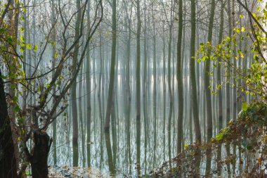 kavak akdağ sel sel Po Nehri İtalya