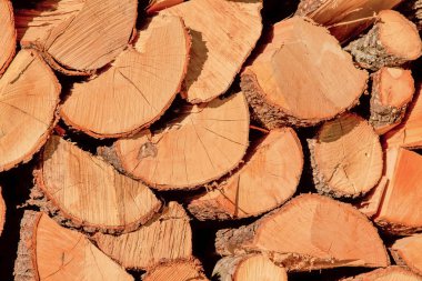 İtalya kadar yakın yakacak odun depolama