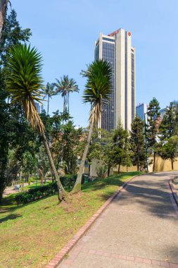 Bogota Palms içinde bağımsızlık Park güneşli bir gün