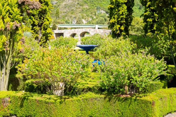 ボゴタ・ジェイミー・デュケ公園の花と庭園 — ストック写真