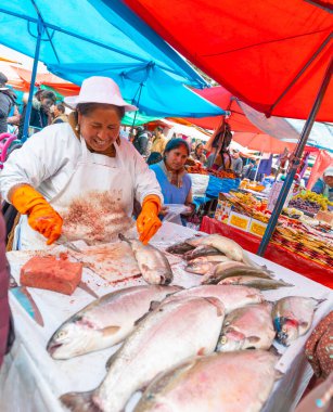 La Paz Bolivyalı bayan balık hazırlıyor.