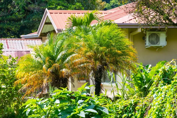 Costa Rica Huis Tropische Natuur Met Palmen — Stockfoto