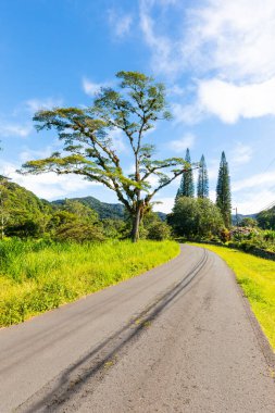 Panama Boquete yolu vadi panoramik manzaralı