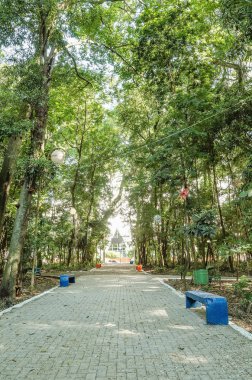 Uzun boylu ağaçlar, Londrina şehir şehir oturtmak için bazı banklar çevrili kare. Bosque Marechal Candido Rondon - Londrina - Pr, Brezilya.