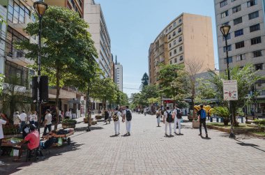 Londrina - Pr, Brezilya - 12 Aralık 2018: Parana avenue, dükkanlar, ticaret, yerel halkın ve tarihi binaları ile sokak ana şehir. Yöre halkı tarafından Calcadao (Calcadao de Londrina bilinen).