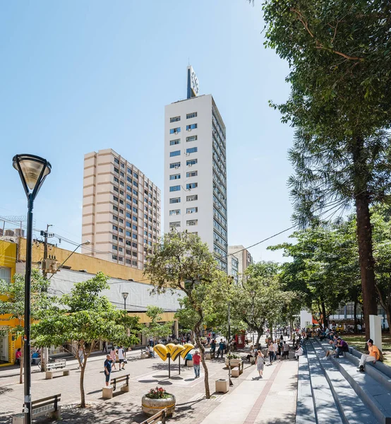 Londrina Brasil Dezembro 2018 Avenida Paraná Principal Rua Centro Com — Fotografia de Stock