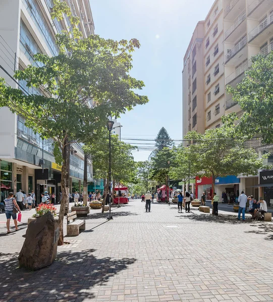 Londrina Brazil December 2018 Parana Avenue Main Downtown Street Shops — Stock Photo, Image